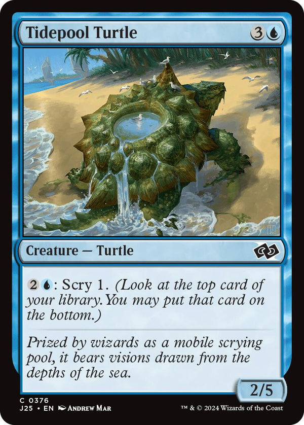 Tidepool Turtle [J25 - 376] - Cartes Sportives Rive Sud