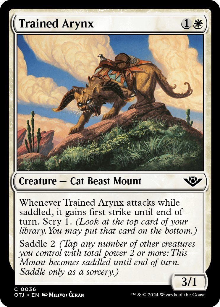 Trained Arynx [OTJ - 36] - Cartes Sportives Rive Sud