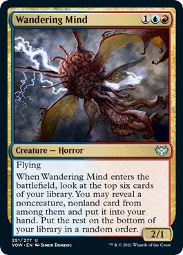 Wandering Mind [VOW - 251] - Cartes Sportives Rive Sud