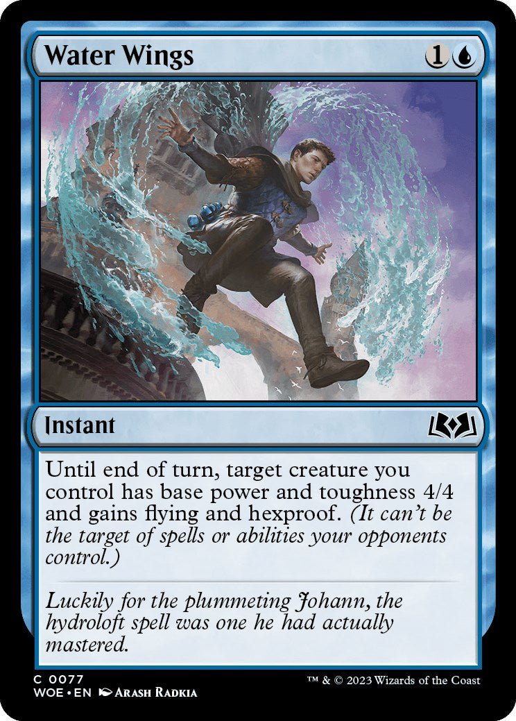Water Wings [WOE - 77] - Cartes Sportives Rive Sud