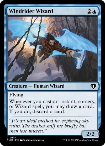 Windrider Wizard [CMM - 134] - Cartes Sportives Rive Sud