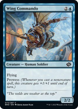 Wing Commando [BRO - 73] - Cartes Sportives Rive Sud