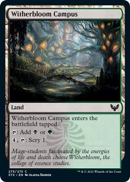 Witherbloom Campus [STX - 275] - Cartes Sportives Rive Sud