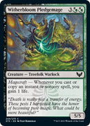 Witherbloom Pledgemage [STX - 249] - Cartes Sportives Rive Sud